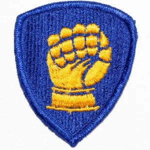 The Division Patches High Quality Embroidered Designs