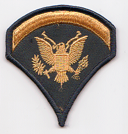 Specialist Patch Army Military Specialists