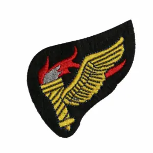 Vietnam Special Forces Patches