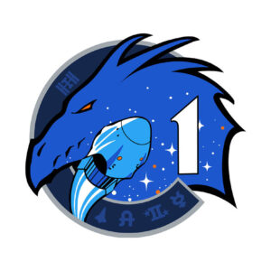 Crew 1 Mission Patch Space Artifact