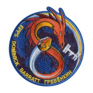 Nasa Crew Dragon Patch